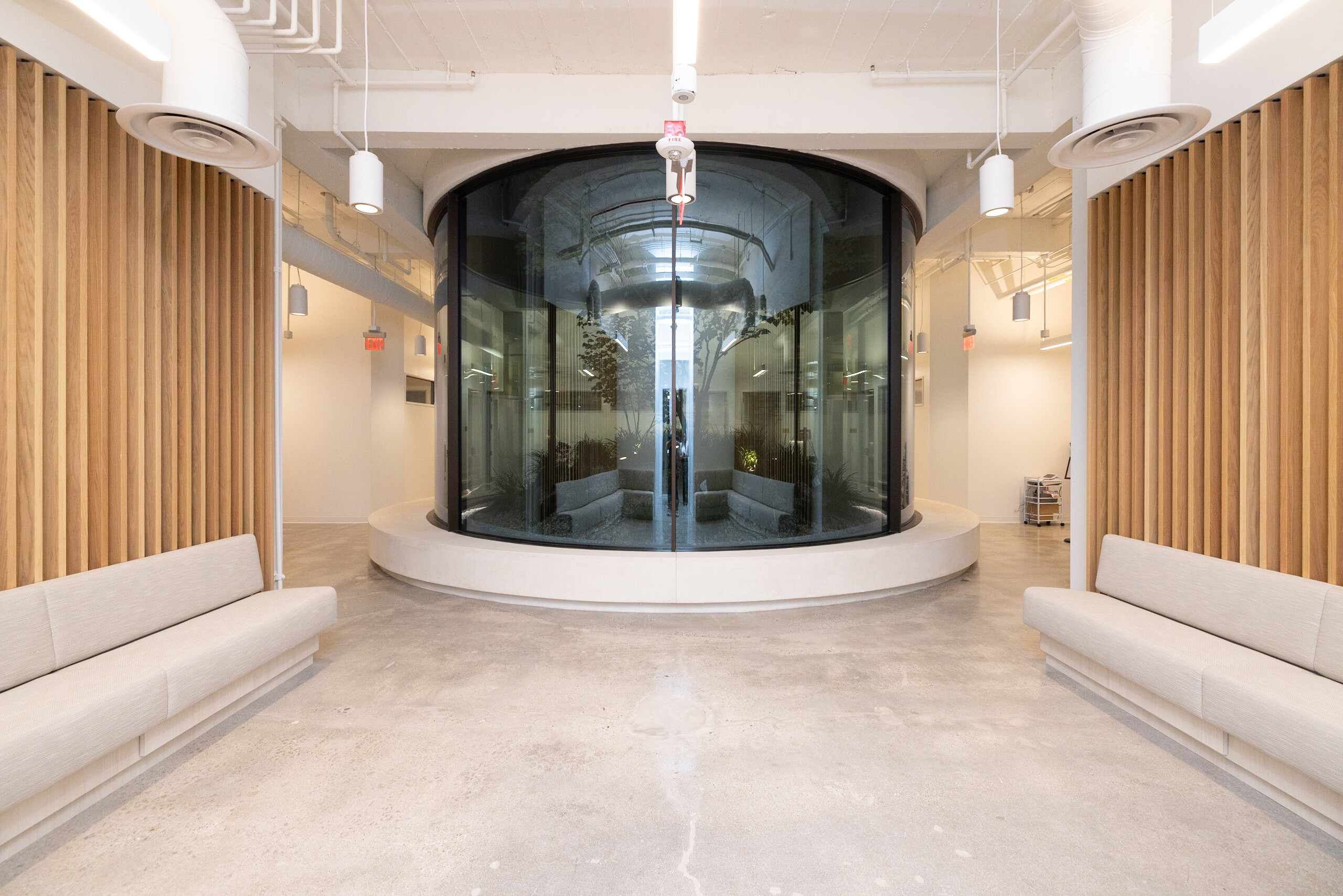 Rodeo Rejuvenation Studio's Store