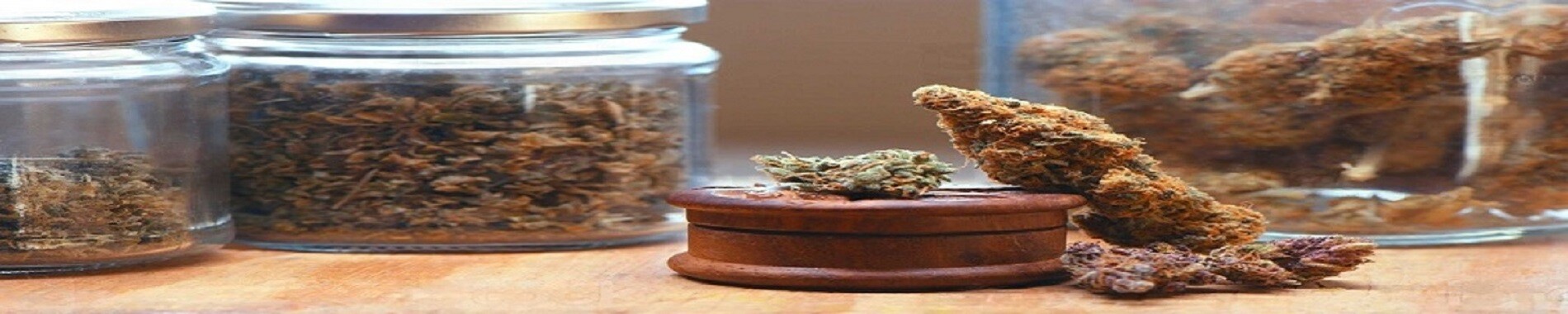 Express Buds's Store