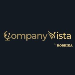 Company Vista's Store