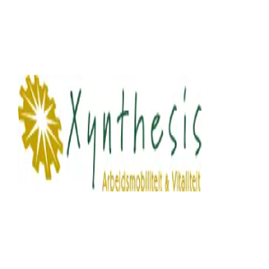 Xynthesis Re-integratie's Store