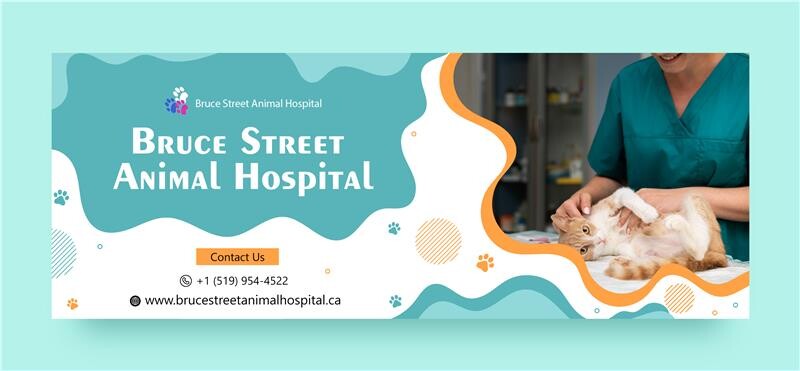 Bruce Street Animal Hospital's Store