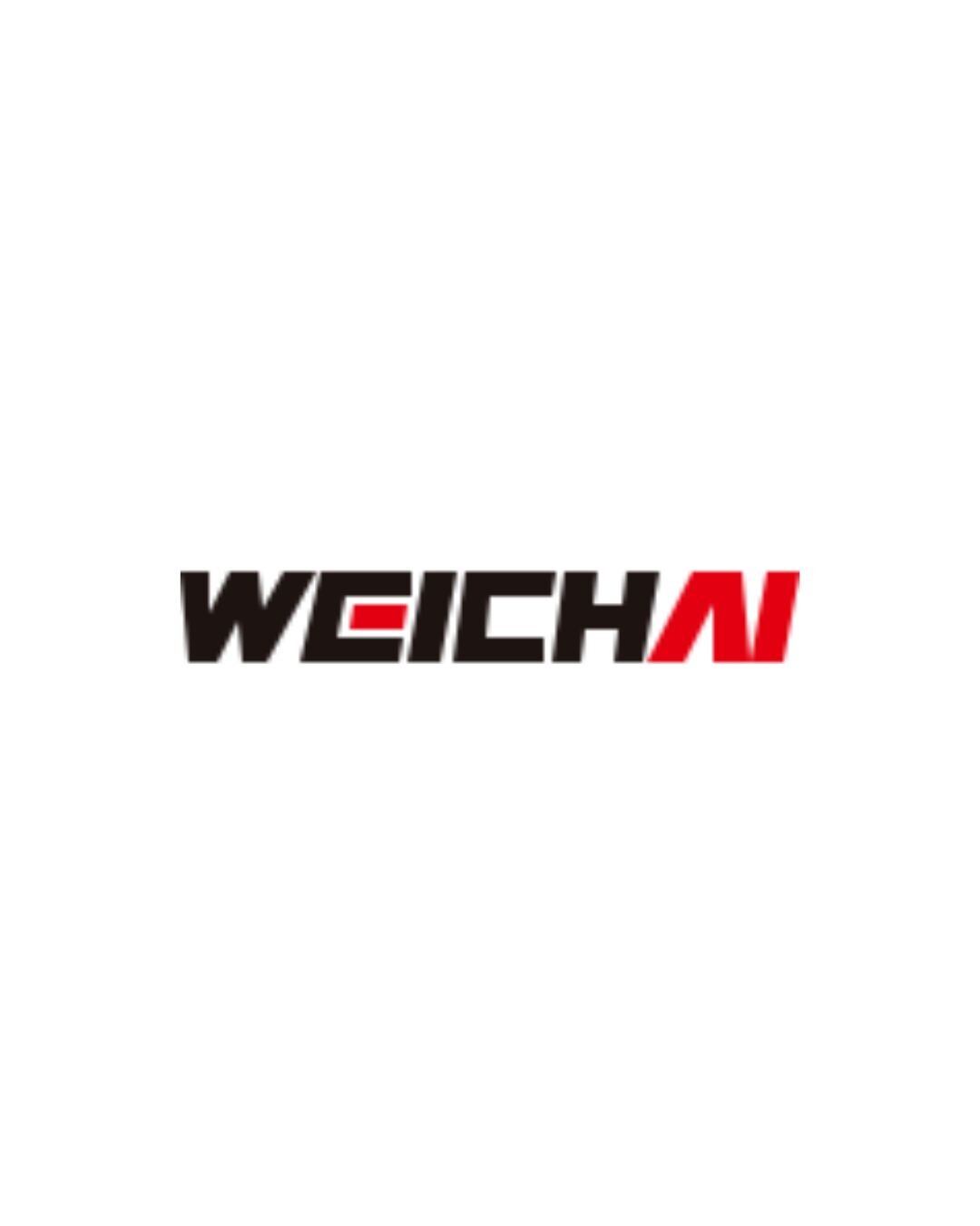 Weichai India's Store